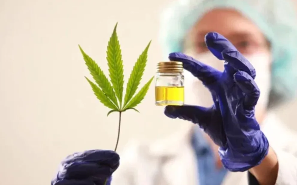 cannabi9s