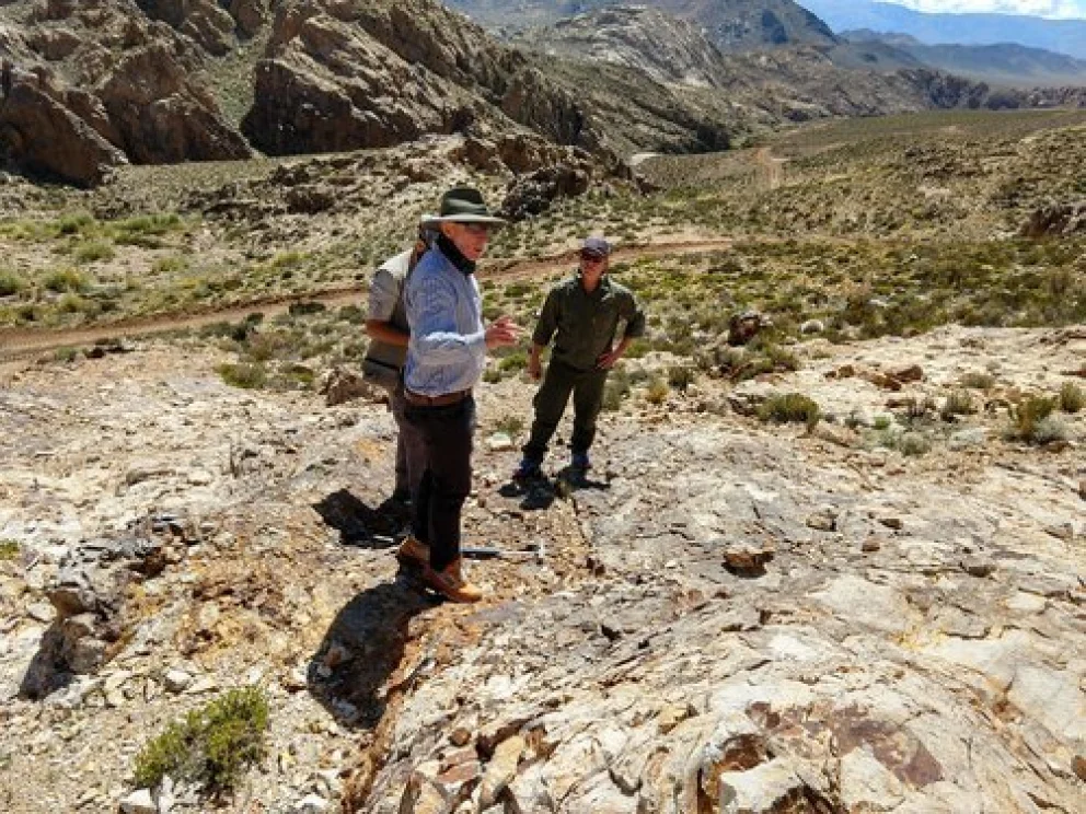 IMG_20190210_114116521_HDR