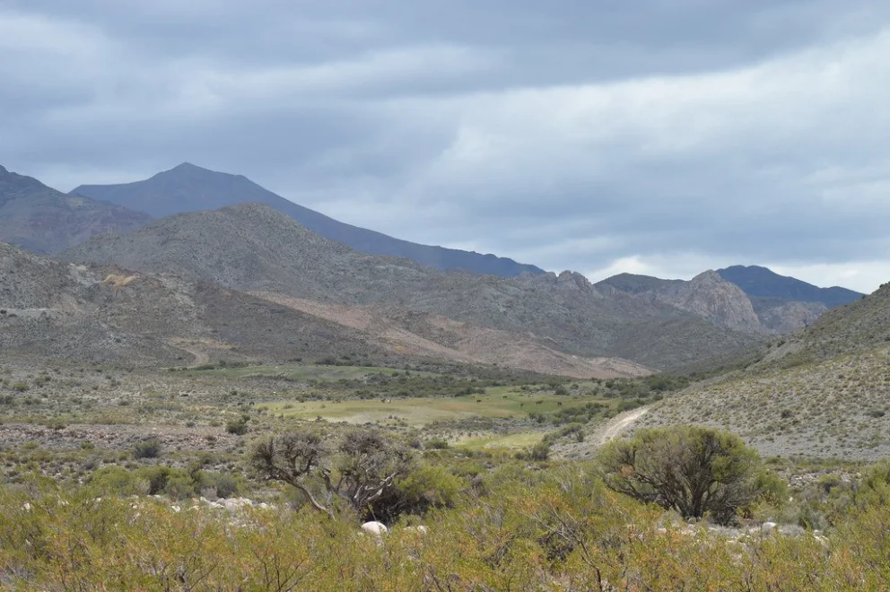 49451846081_ae8d0ddae5_b