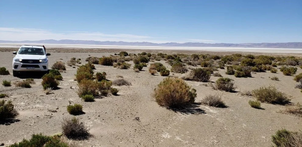 61b61bcf-645c-4abf-a9c1-e9ac97f5861c-04_solaroz_perfil