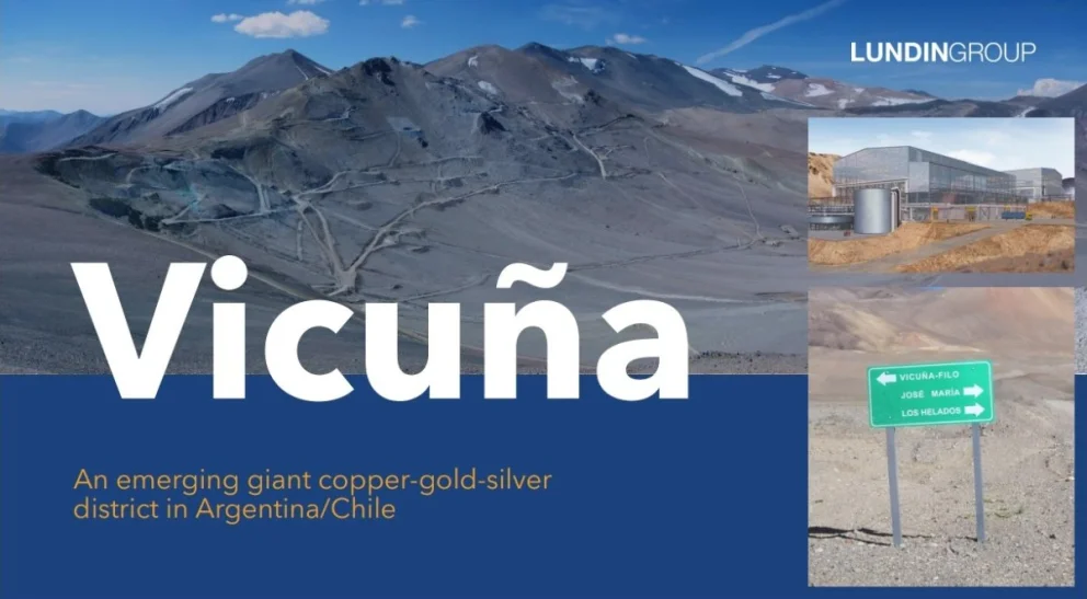 Vicuna-2