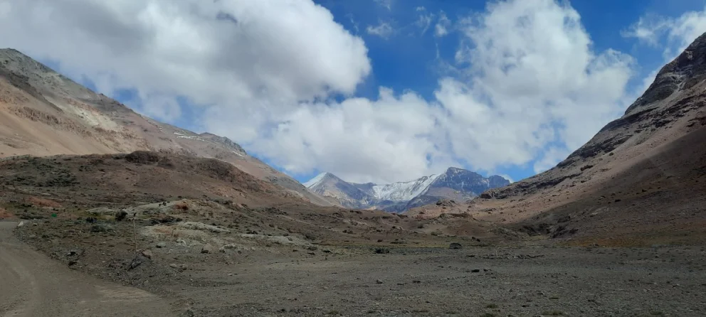 51404592849_6f147901aa_o