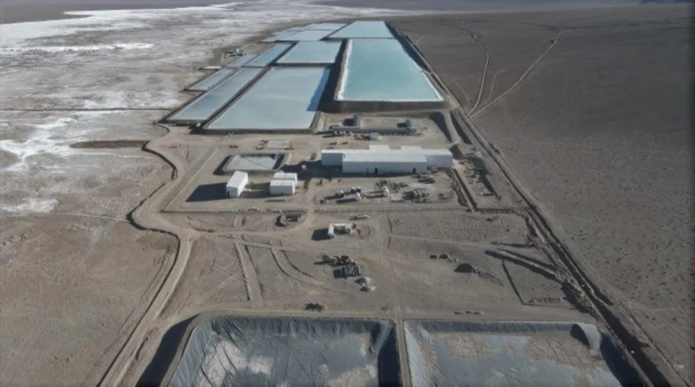 WhatsApp Image 2022-08-01 at 9.54.09 AM