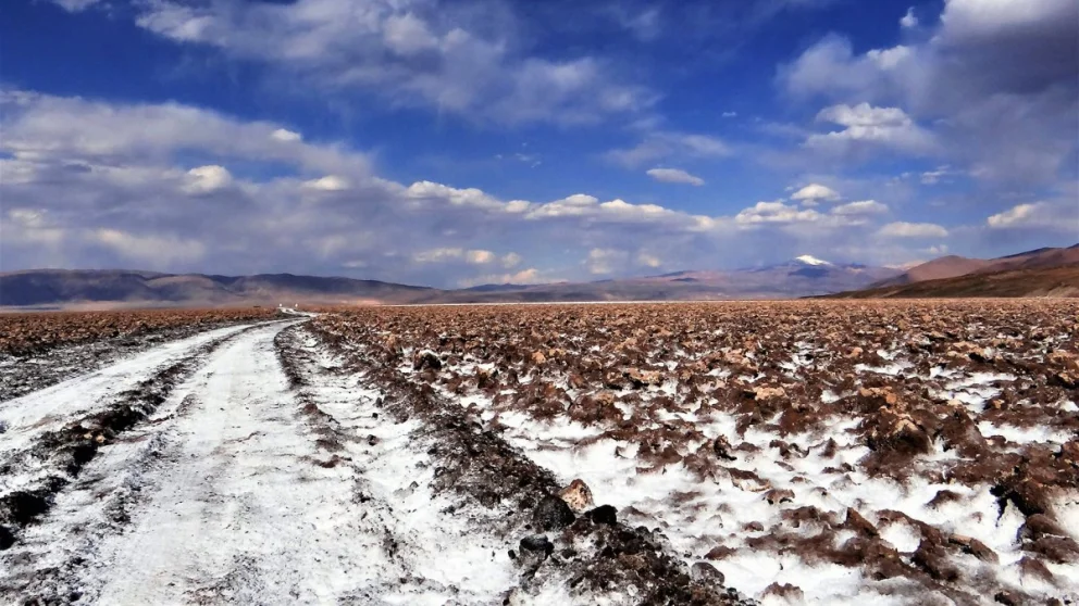 RT-Rincon-ground