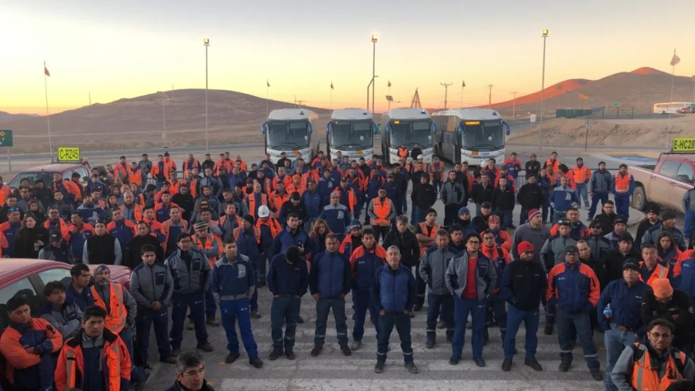 patos_negros_minera_escondida