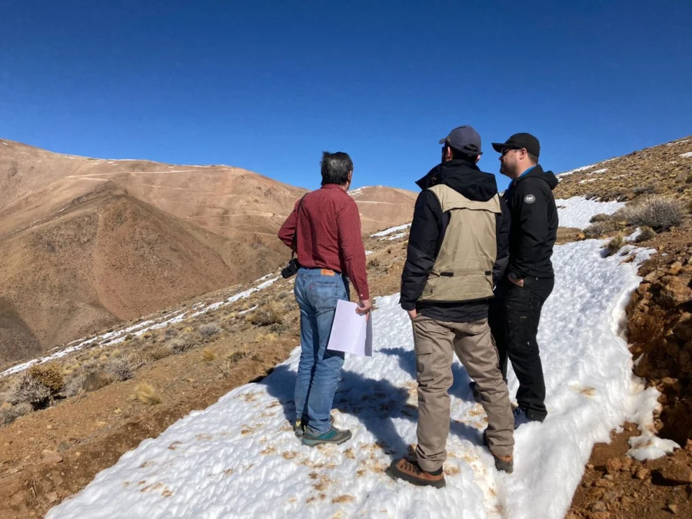 Proyecto San Francisco