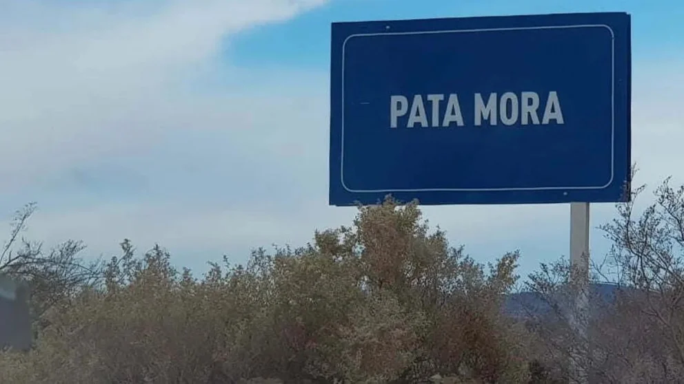 Pata Mora