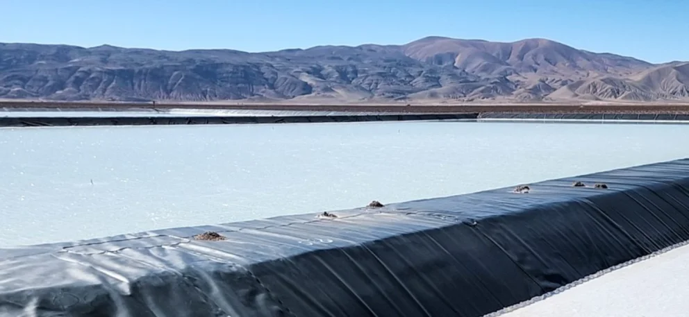 Pozuelos-Pastos Grandes