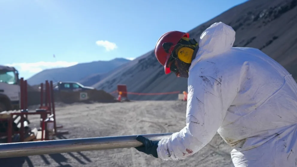 WhatsApp Image 2024-04-25 at 10.40.01