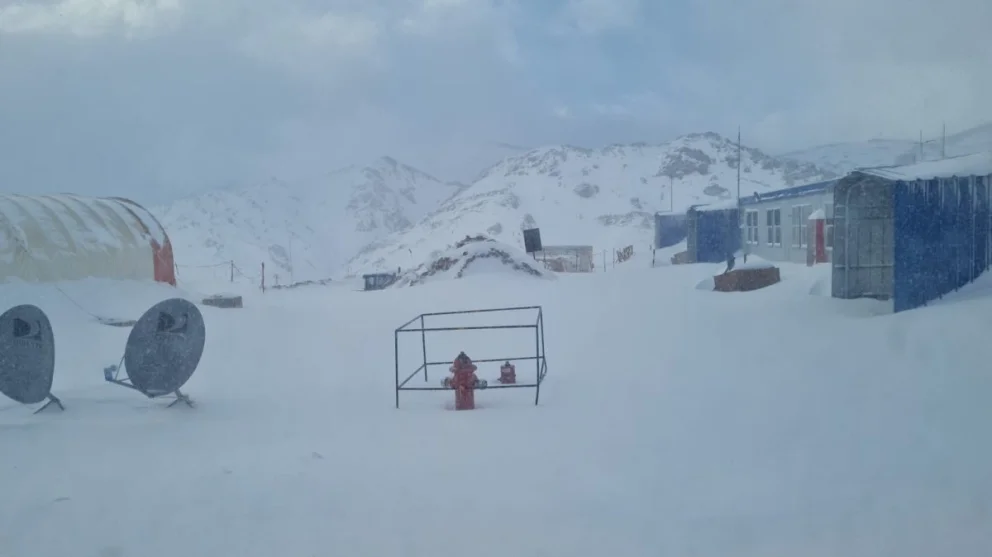 WhatsApp Image 2024-05-23 at 09.53.19