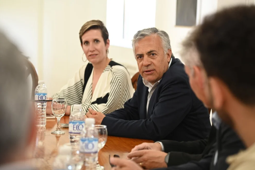 Mendoza Cornejo Minería