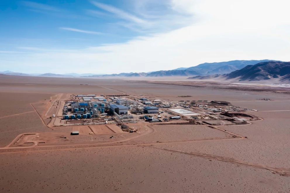 Centenario Ratones litio