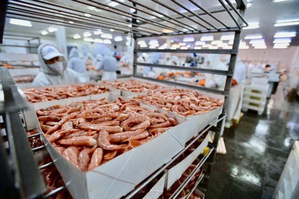 Gualcamayo Pesquera Chubut