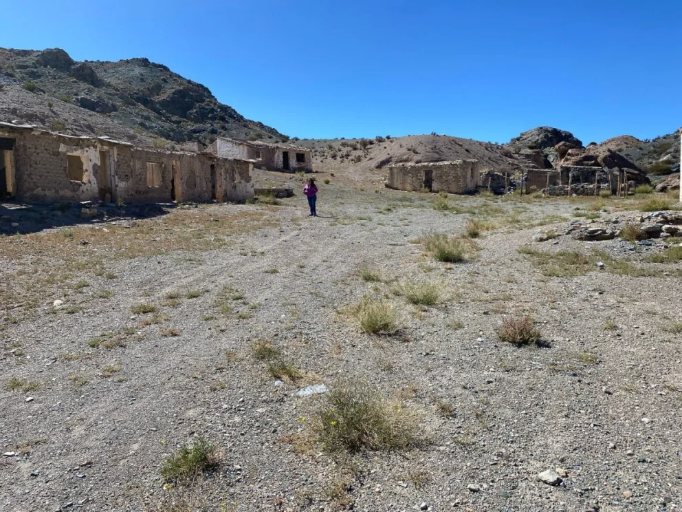 Mendoza audiencia reactivar