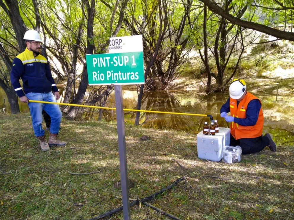 Newmont monitoreo ambiental cerro negro