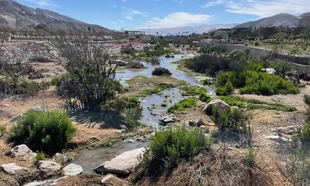 cuestionamientos lundin canderlaria socavon chile agua