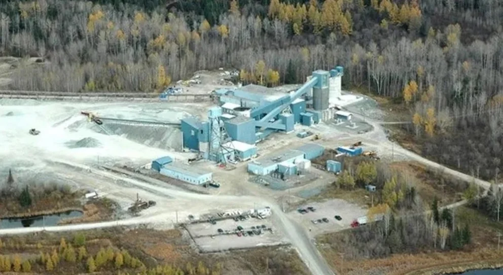 mcewen inc reporta oro acciones disparan