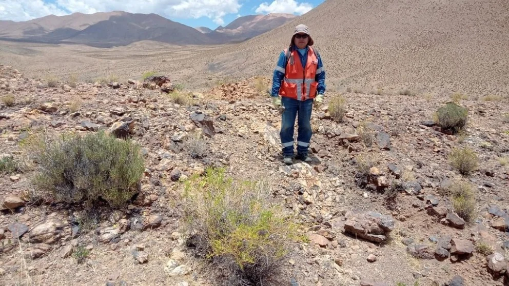Amplían proyecto de oro y plata en Salta | Minería & Desarrollo