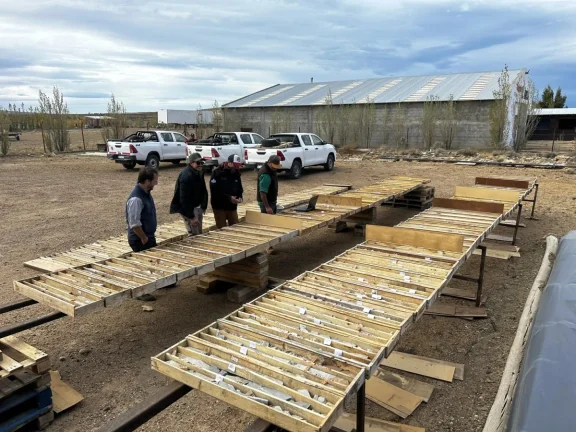 Unico Silver: hallazgos prometedores de plata y oro en Santa Cruz