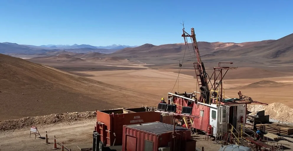 Imagen ilustrativa (Mirasol).