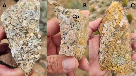Descubren nueva zona de cobre en el proyecto Zorro en San Juan ...