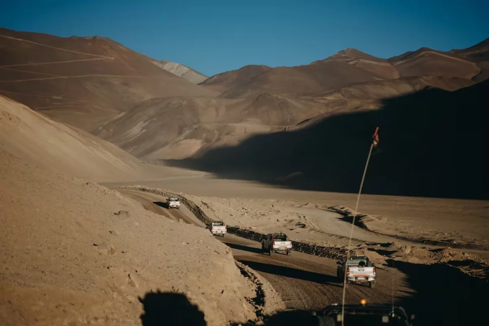 Foto Dani Ordonez/ Gentileza Vicuña