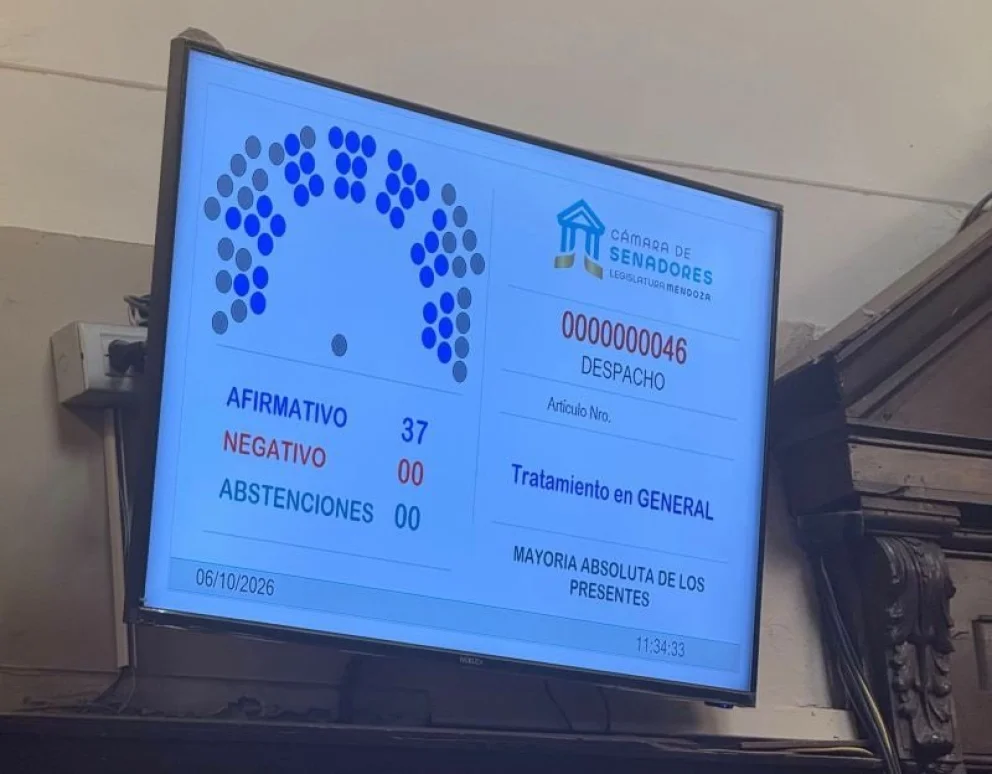 El Senado de Mendoza dio media sanción al proyecto de cobre San Romeleo, clave para la vitivinicultura